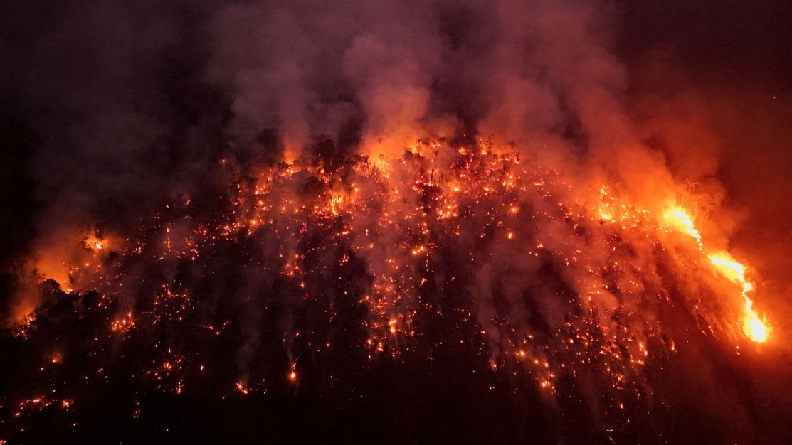 Incêndios e seca reduzem armazenamento de carbono na Amazônia, diz estudo